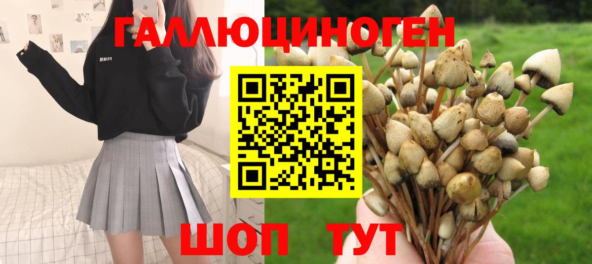 Галлюциногенные грибы Magic Shrooms  магазин продажи наркотиков  Псков  Вход с VPN 